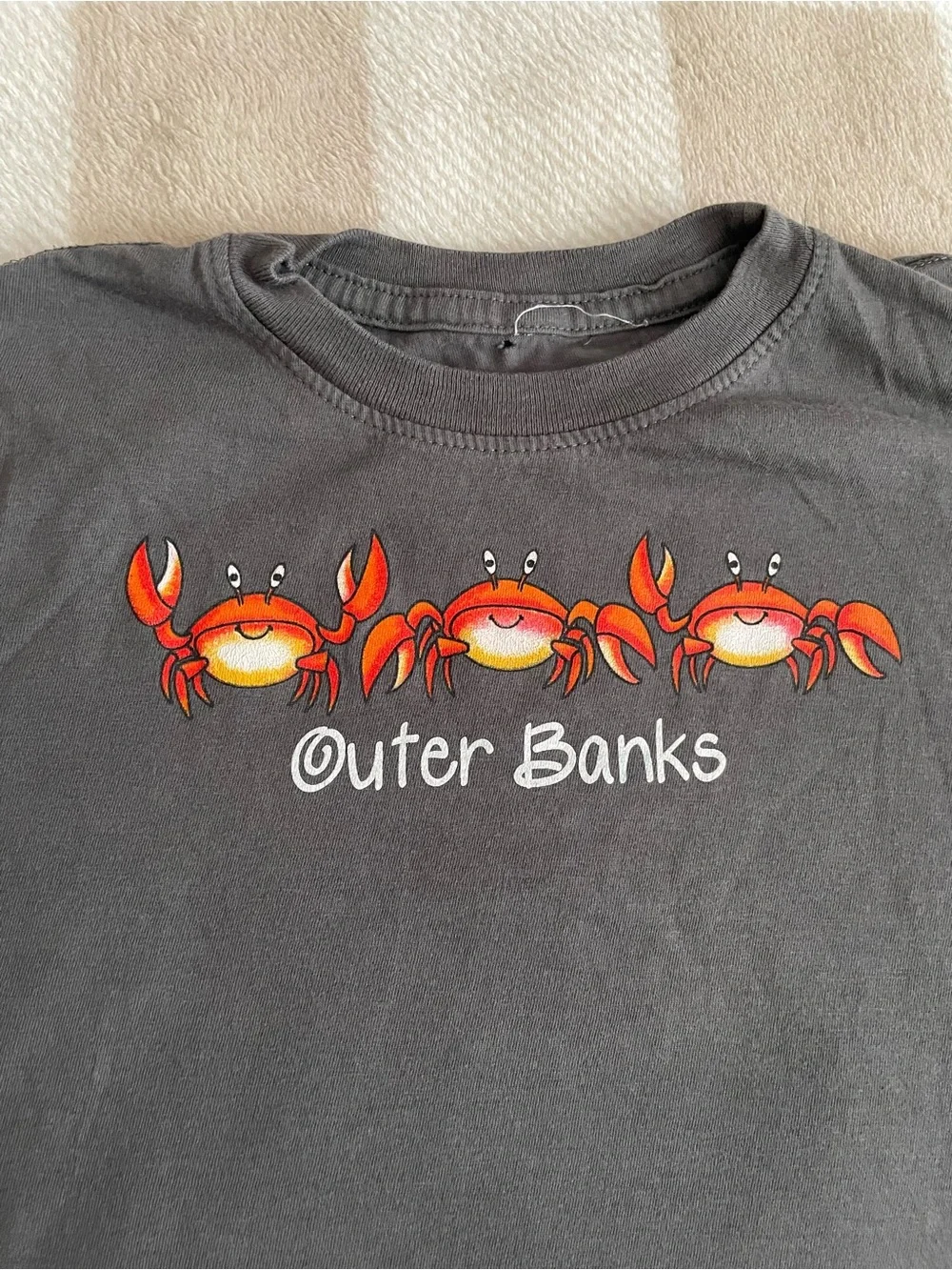 3T Size Outer Banks Crab Graphic Tee Charcoal Grey